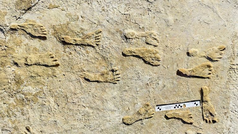This undated photo made available by the National Park Service in September 2021 shows fossilized human fossilised footprints at the White Sands National Park in New Mexico. Pic: NPS/AP)