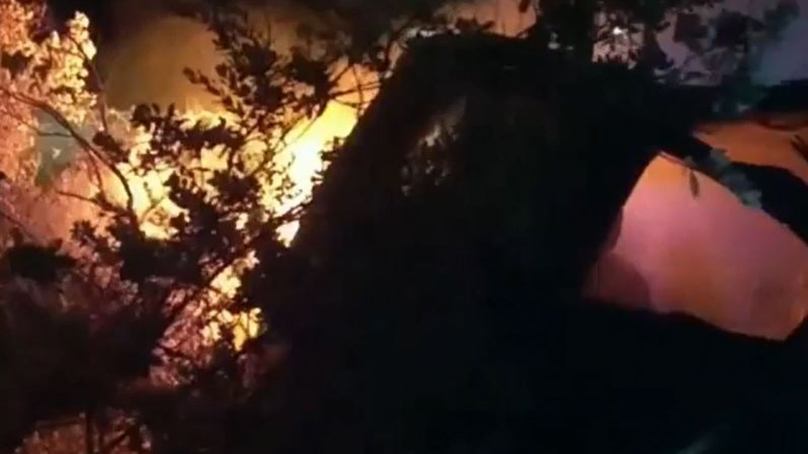 Man rescued from burning car by police in Texas | US News | Sky News