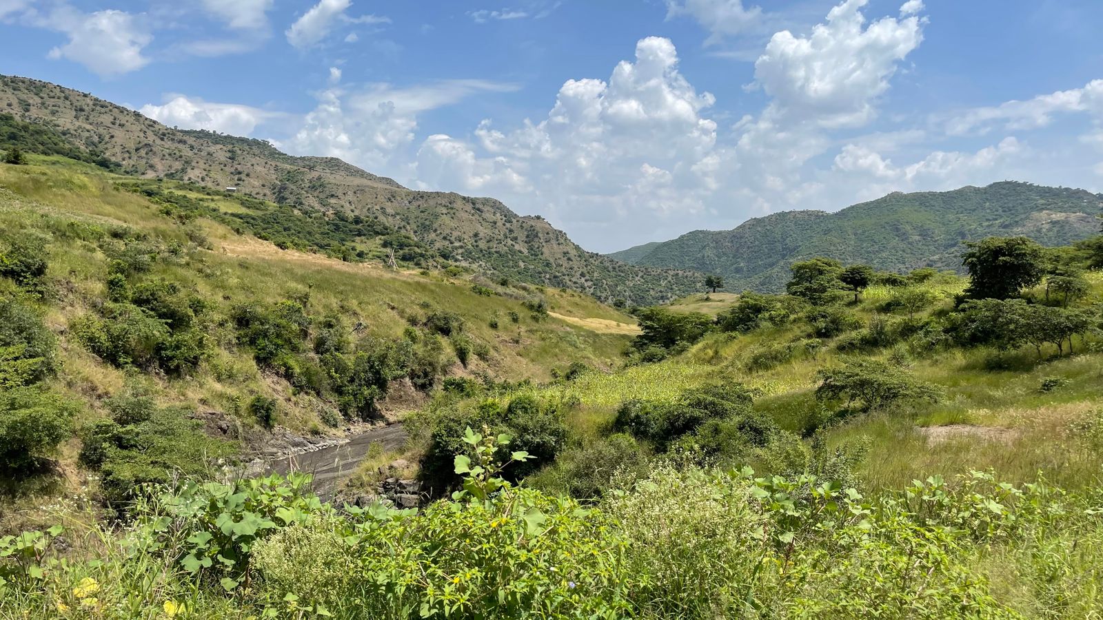 Ethiopia civil war: 'Garden of Eden' village where hyenas eat human