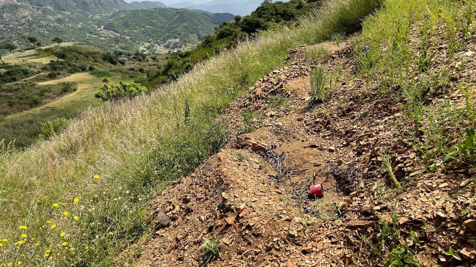Ethiopia civil war: 'Garden of Eden' village where hyenas eat human