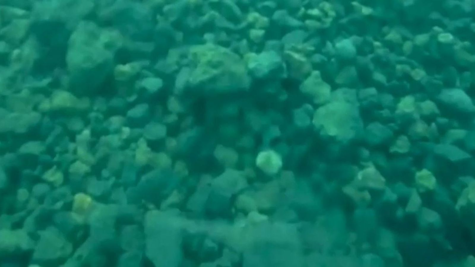 Lava from La Palma volcano filmed under the sea | Sky News