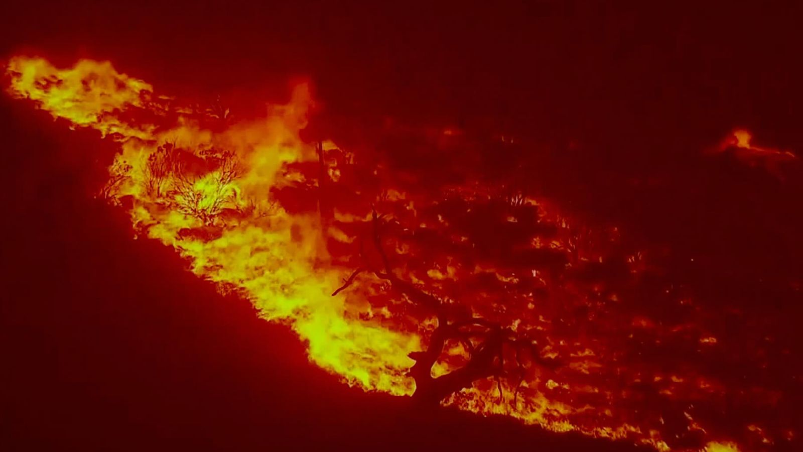 Climate change: 'Your future depends on the future of the planet,' Prince Charles warns children in documentary - Sky News