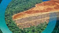 Deforestation. Pic: iStock