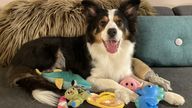 Whisky from Norway surrounded by toys
