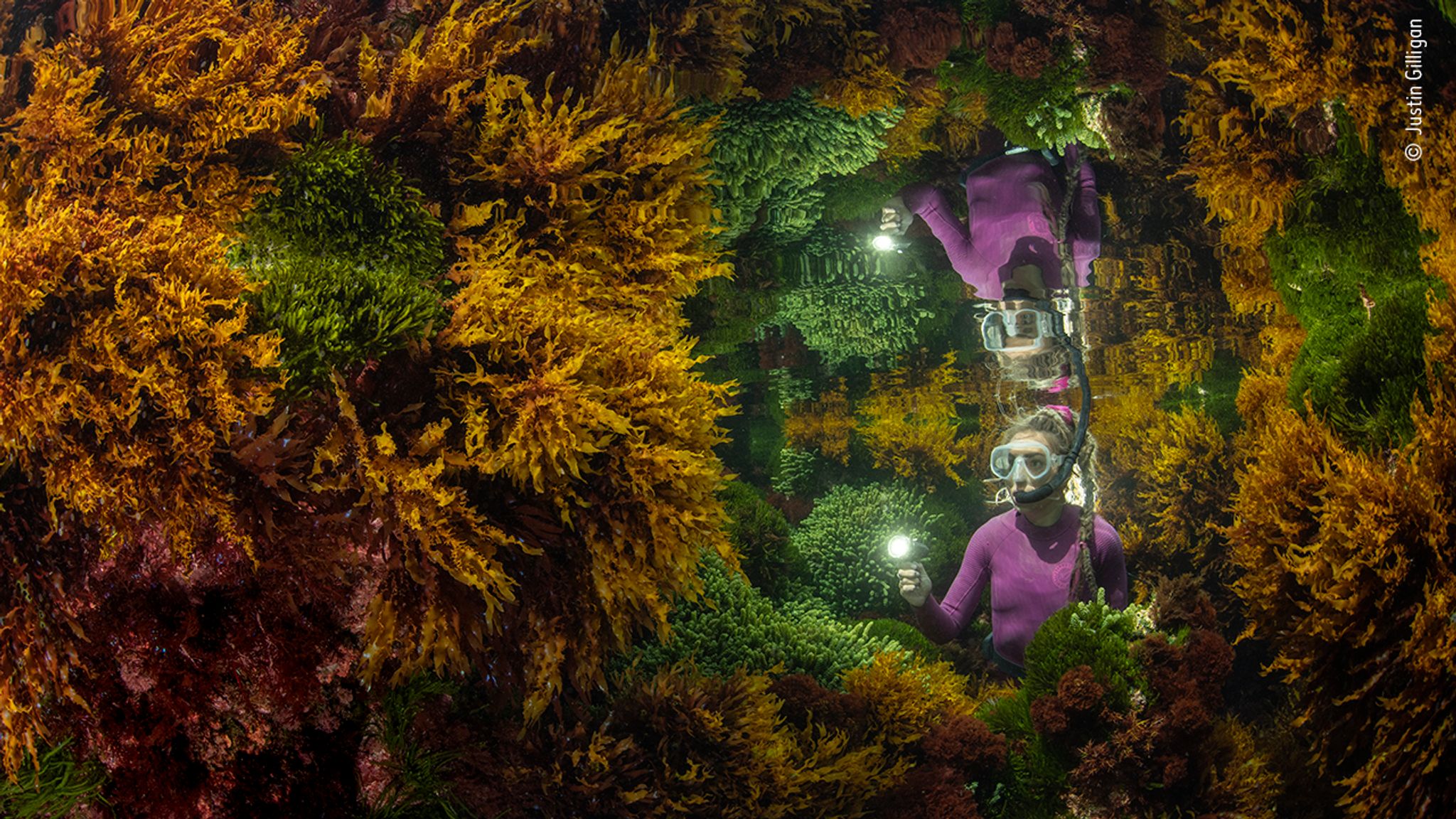 Wildlife Photographer Of The Year: The best animal and nature images of ...