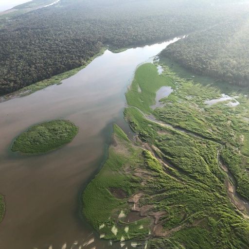 Amazon destruction at record levels