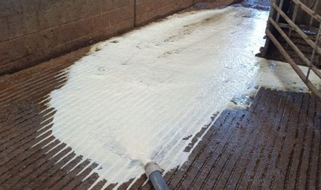 Dairy farmers forced to pour tens of thousands of litres of milk away due to HGV driver shortage and rising costs and labour shortages - Vimarsana News
