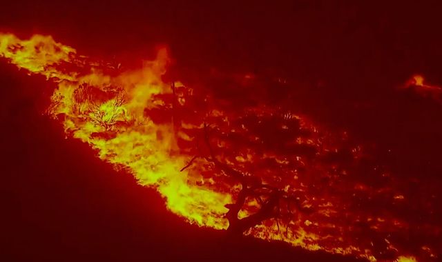 Climate change: 'Your future depends on the future of the planet,' Prince Charles warns children in documentary - Vimarsana News