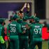Kashmir anti-terror investigation into students celebrating India's loss to Pakistan in T20 cricket game