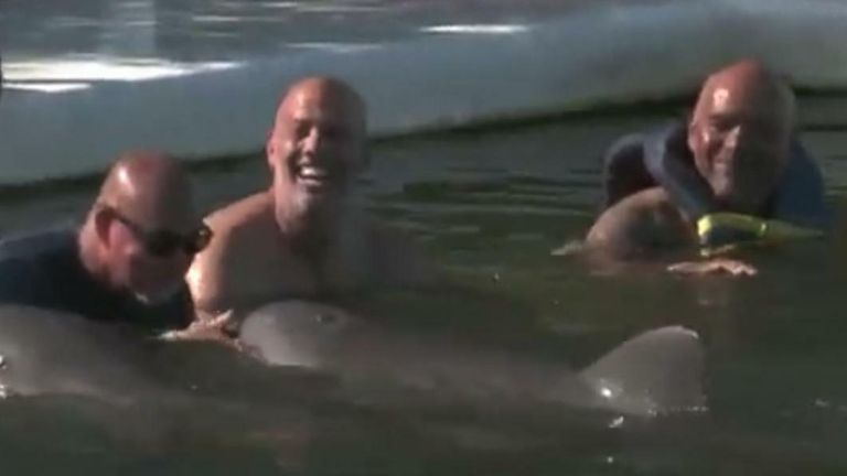 Veterans Dealing With PTSD Swim With Dolphins in Florida