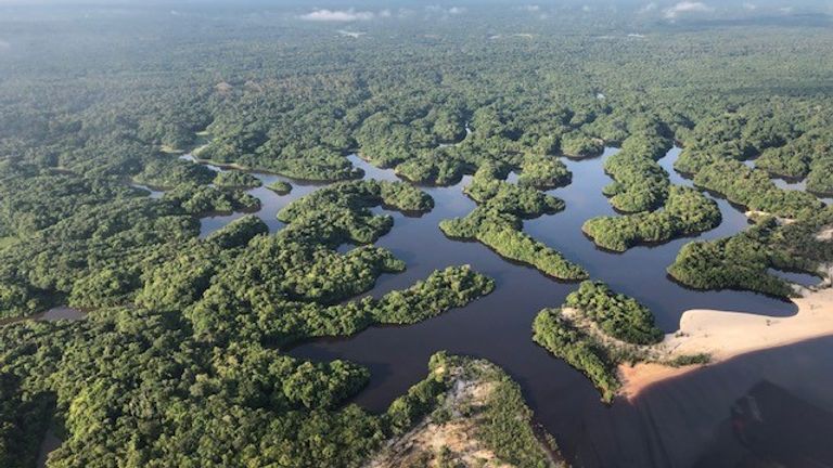 The Amazon Rainforest near Manaus, in northern Brazil