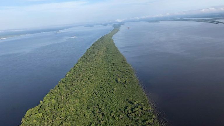 The Amazon Rainforest near Manaus, in northern Brazil

