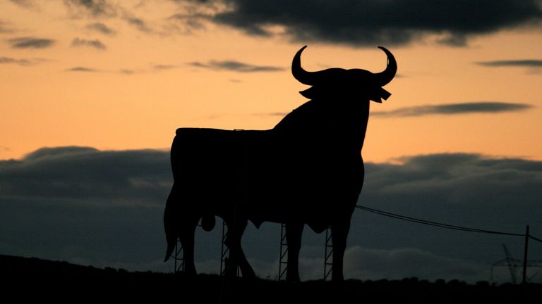 A man has died after being gored by a bull in Spain