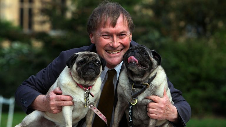 USAGE ÉDITORIAL UNIQUEMENT photo datée du 10/10/13 du député conservateur David Amess avec ses carlins, Lily et Boat au concours de chien de l'année de Westminster au Victoria Tower Gardens à Londres.  Le député conservateur Sir David Amess aurait été poignardé à plusieurs reprises lors d'une opération chirurgicale dans sa circonscription de Southend West.  Date d'émission : vendredi 15 octobre 2021.