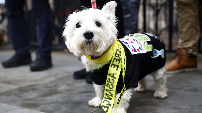 A dog is dressed up by a supporter of Wikileaks founder Julian Assange protesting outside the Royal Courts of Justice in London, Britain, October 27, 2021. REUTERS/Hannah McKay
