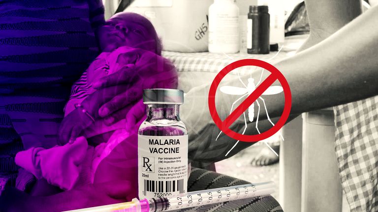 Why is malaria so dangerous and why do we need a vaccine? | World News | Sky News