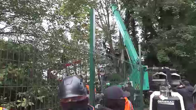 Bailiffs work to lower protesters who suspended themselves in trees 