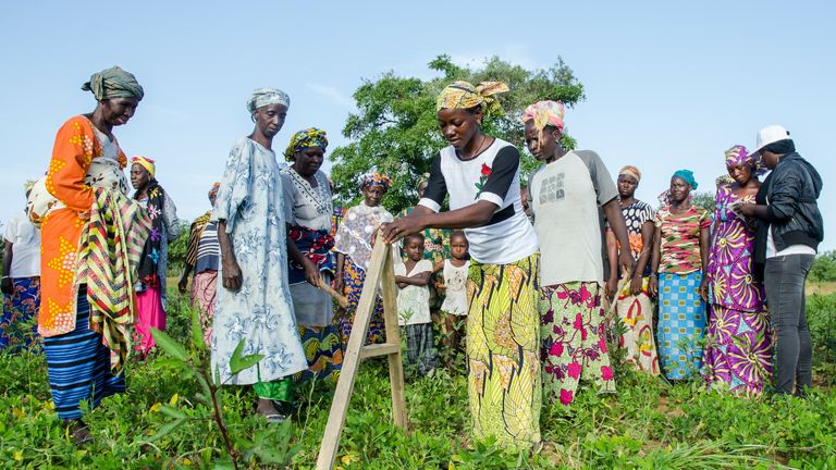 Women  improving soil and water conservation practices on Mali farmland. Pic: TreeAid