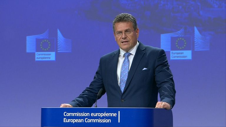 European Commission Vice President Maros Sefcovic has offered up a new plan for the Northern Ireland Protocol.