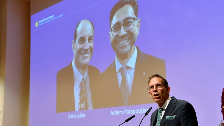 Thomas Perlmann, Secretary of the Nobel Assembly and the Nobel Committee announces the winners of the 2021 Nobel Prize in Physiology or Medicine. Pic: AP