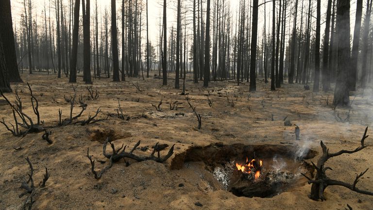A tree stump smolders in the aftermath of the Bootleg Fire, in Sycan Estates, Oregon, U.S., July 24, 2021. Picture taken July 24, 2021. REUTERS/Mathieu Lewis-Rolland