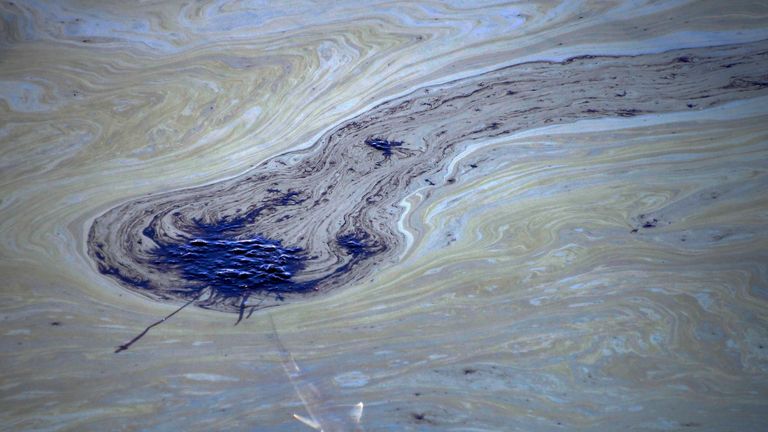 A fish swims under oil slicks in the Talbert Channel after a major oil spill off the coast of California has come ashore in Huntington Beach, California, U.S. October 3, 2021. REUTERS/Gene Blevin