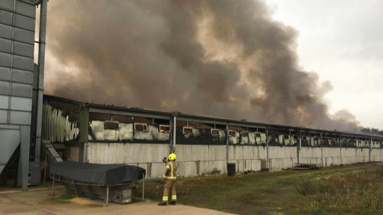firefighters at the scene of a fire at an Oxfordshire pig farm. 