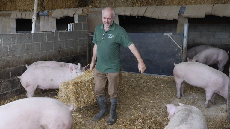 Stephen Thompson keeps 2,000 pigs at Povey Farm in Norton, Derbyshire