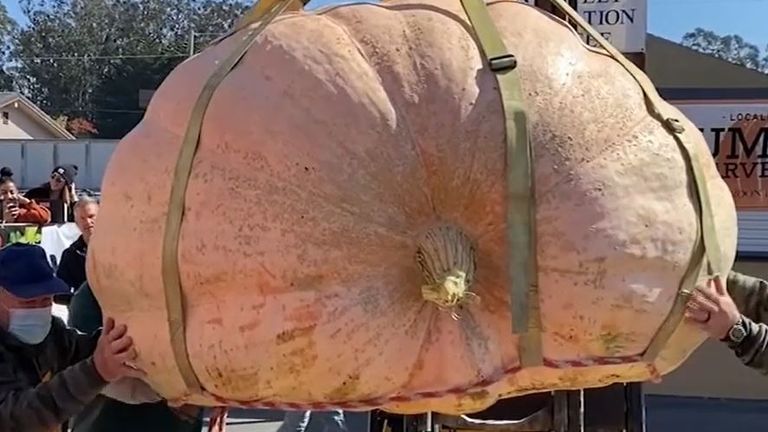 Massive pumpkin wins first prize in prestigious contest