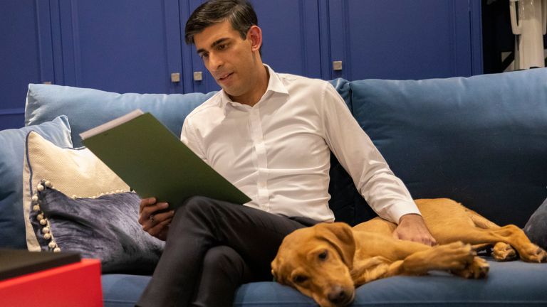 Chancellor Rishi Sunak, kept company by his red Labrador retriever puppy Nova, works on his budget speech. Pic: HM Treasury/Flickr