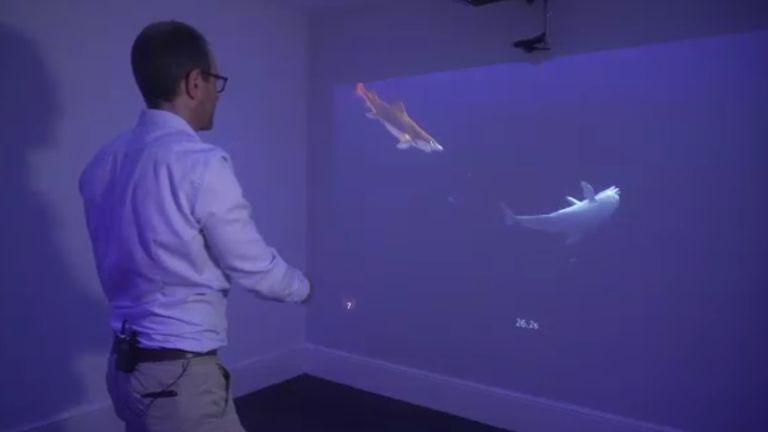 The Pixar-like "neuro-animation" uses motion-sensitive cameras to track the movements made by a patient&#39;s arm