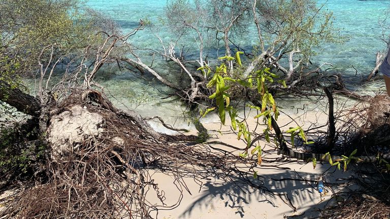 Thinadoo Island