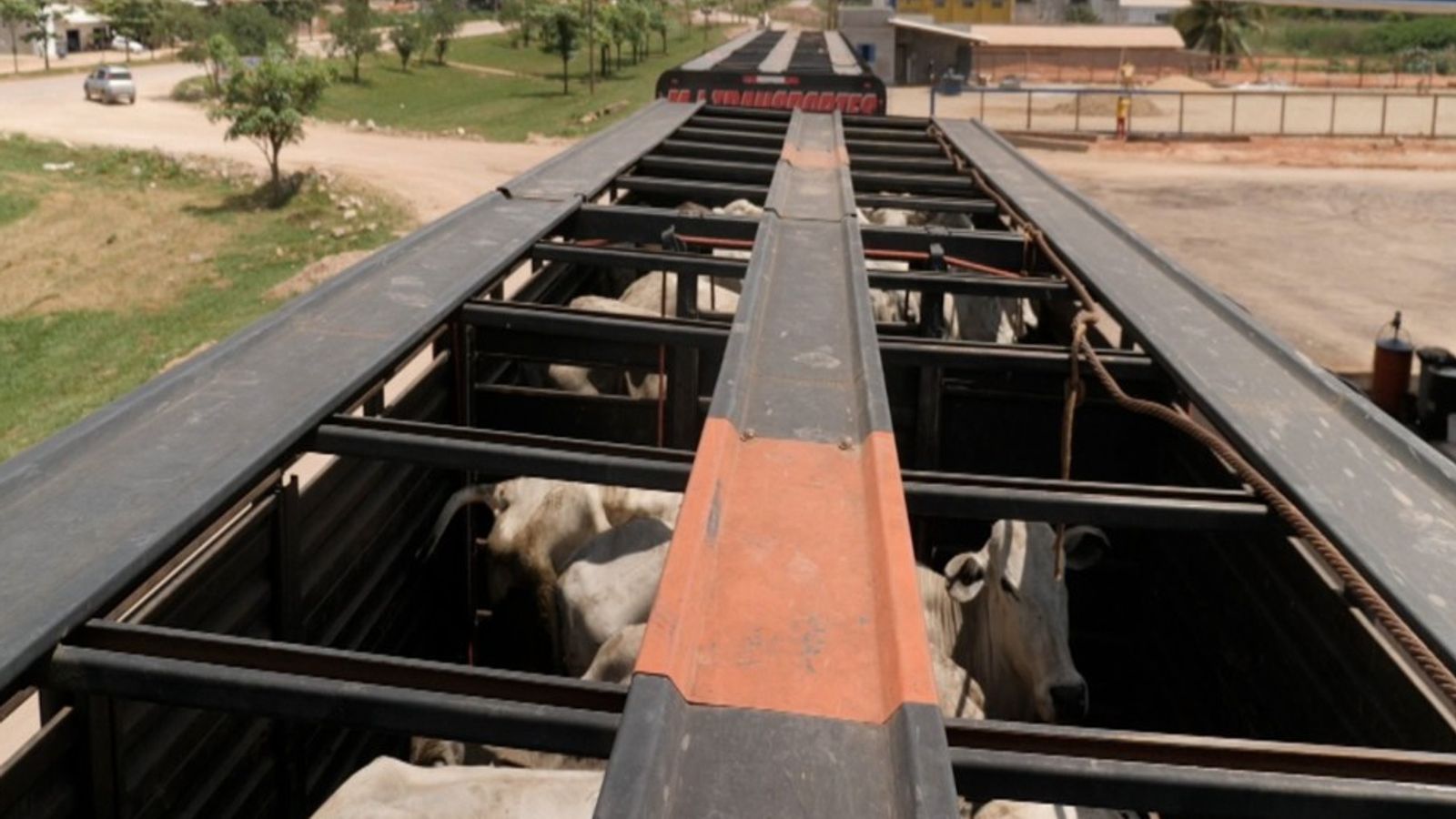 Sky News Inside Brazil S Illegal Beef Trade The Farming Forum