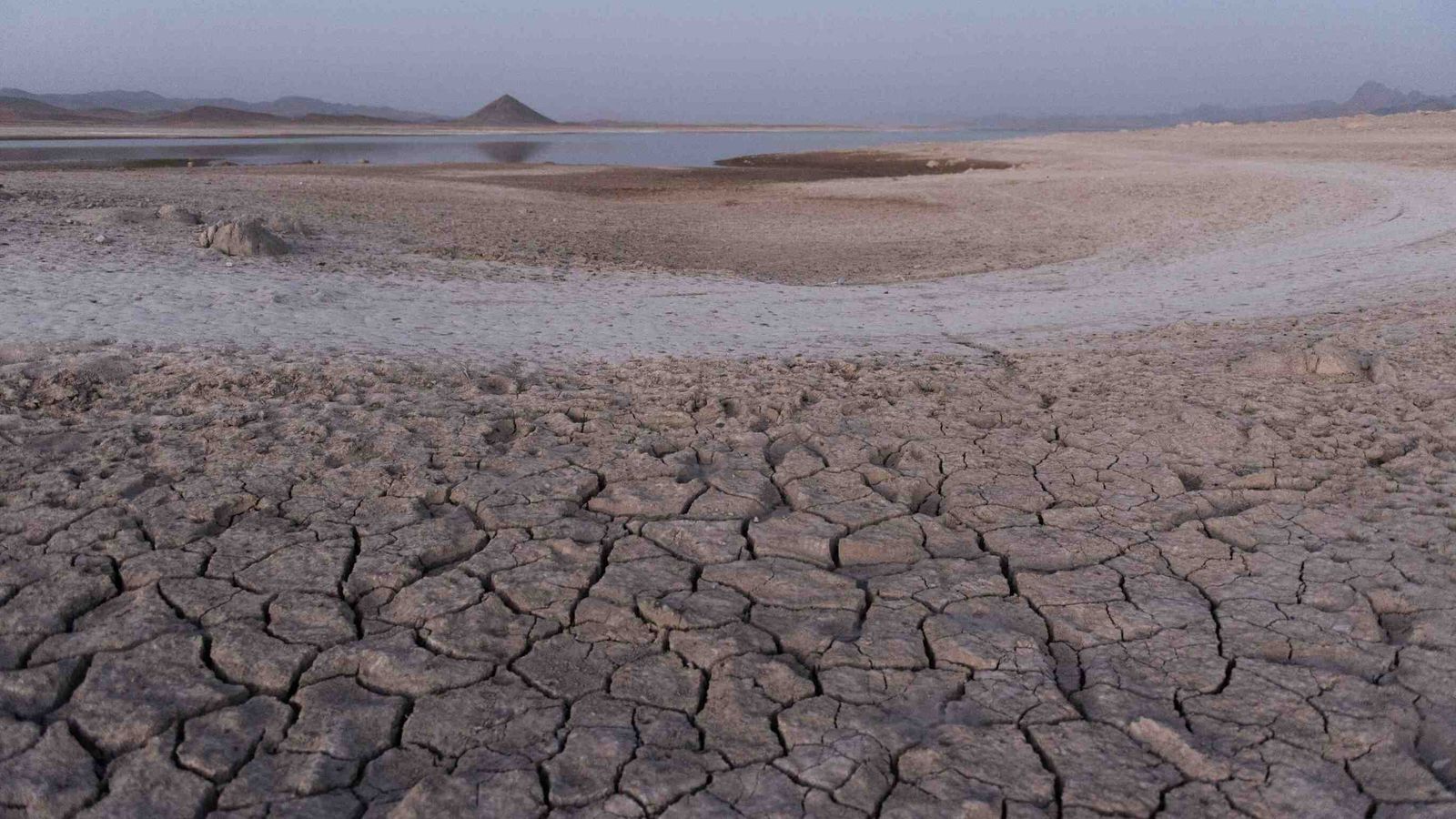 Afghanistan: Millions at risk of starvation as vital seeds go to waste ...