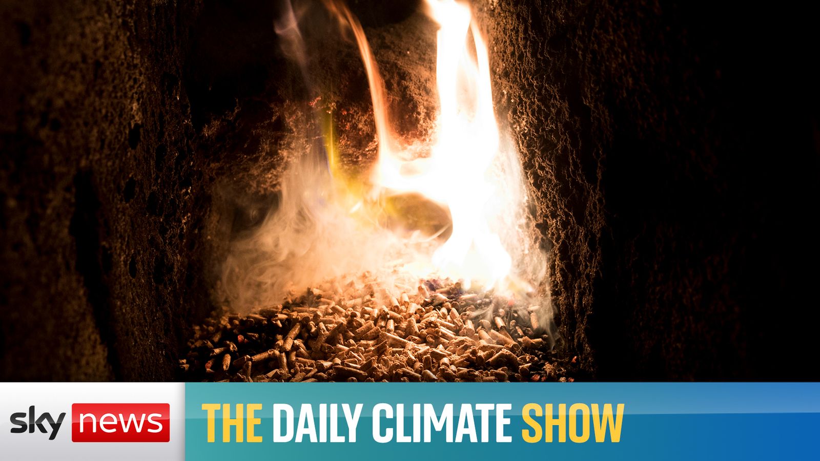 The Daily Climate Show debate: Can biofuels help us reach net zero ...