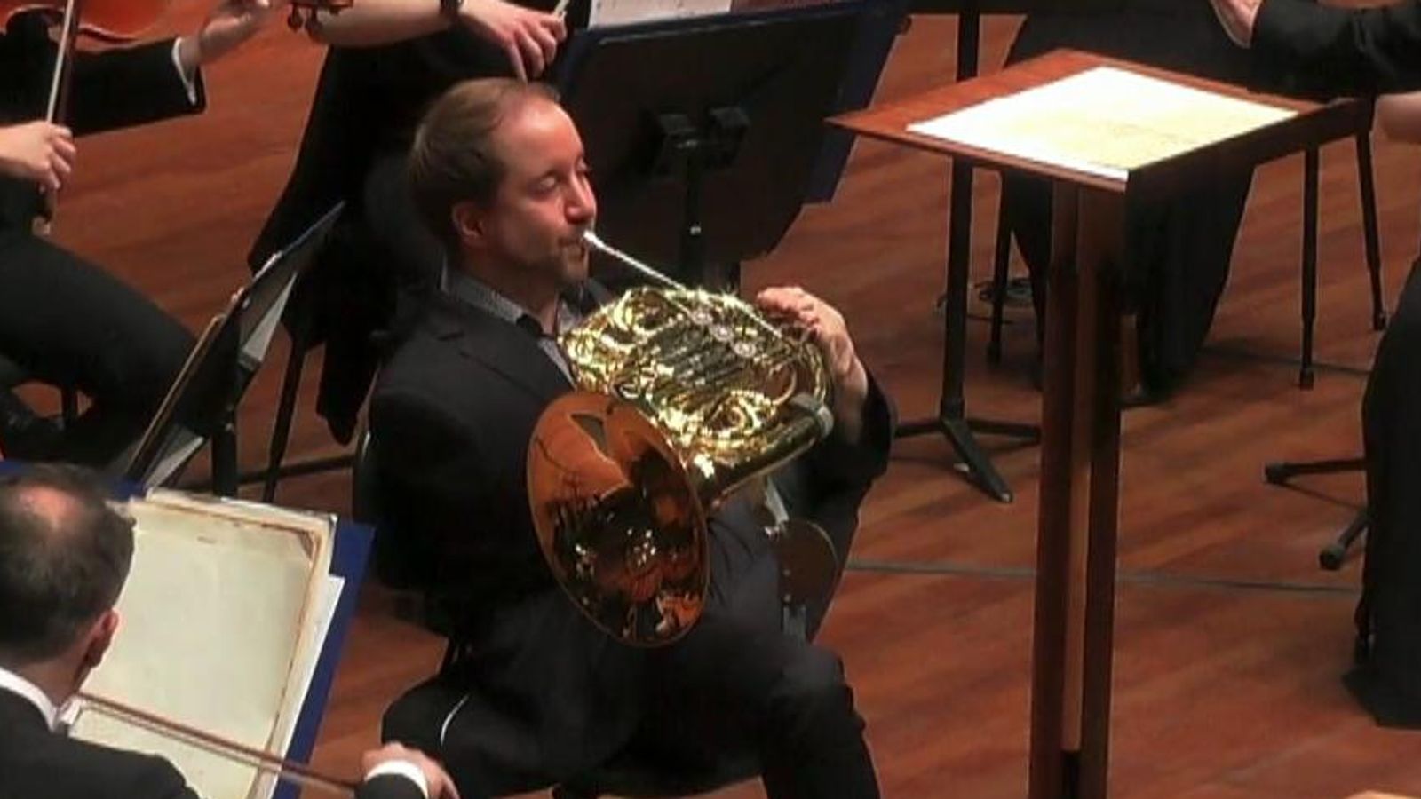 person playing french horn