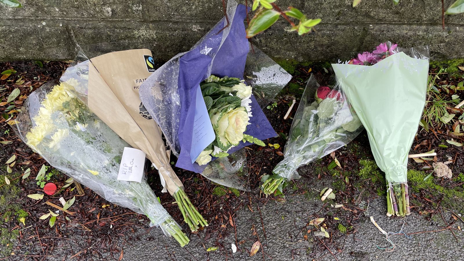 Jack Lis Family of 10yearold killed by dog near Caerphilly pay tribute to 'beautiful boy