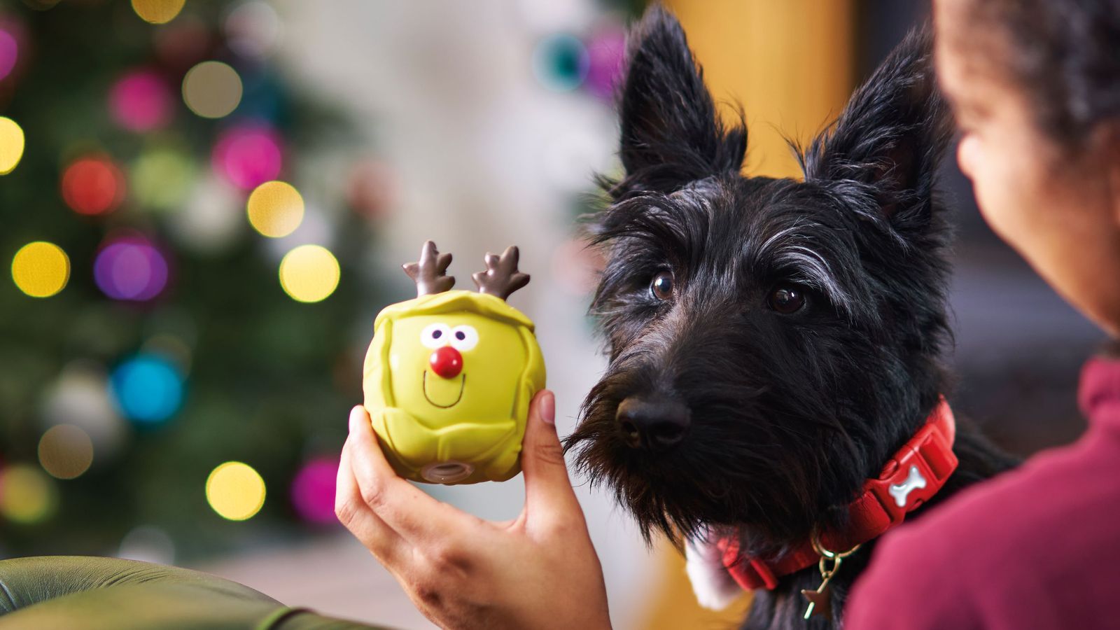 Cheer for Pets at Home as sustained ownership boom lifts profits