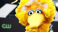 Big Bird revealed they had been vaccinated against COVID-19. Pic: AP