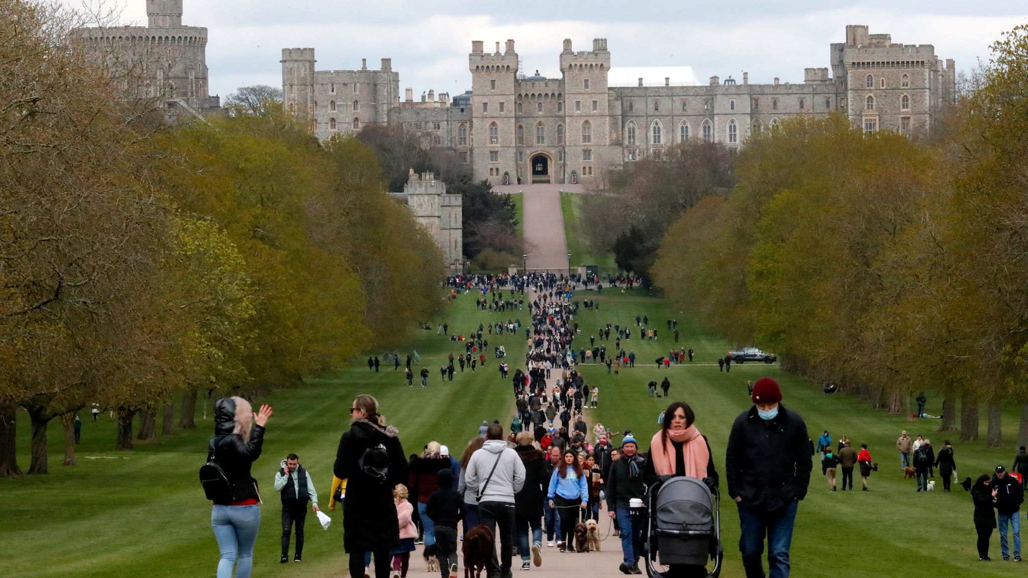 Plant hedgerows and avenues of trees to remember COVID victims, says