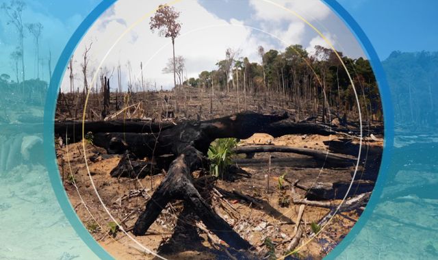 COP26: The Amazon can't defend itself any more - and in this part of the forest, it may be beyond help - Vimarsana News