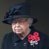 Queen to attend Remembrance Sunday service - as charity stresses importance of day being inclusive