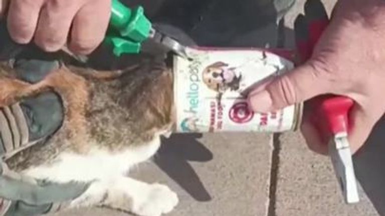 Firefighters in Turkey rescue a cat with its head stuck in a tin can.