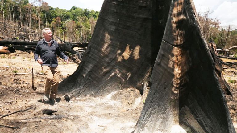 Sky News&#39; Stuart Ramsay surveys destruction in the Amazon rainforest