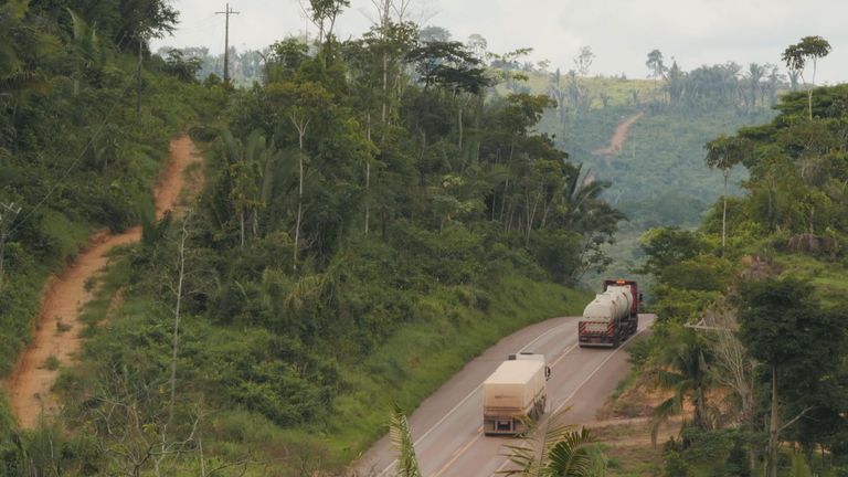 amazon rainforest brazil