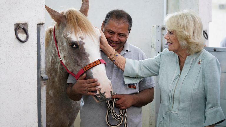 Britain&#39;s Camilla, Duchess of Cornwall, visits Brooke Veterinary Hospital, during tour to the Middle East, in Cairo, Egypt November 19, 2021. Joe Giddens/Pool via REUTERS
