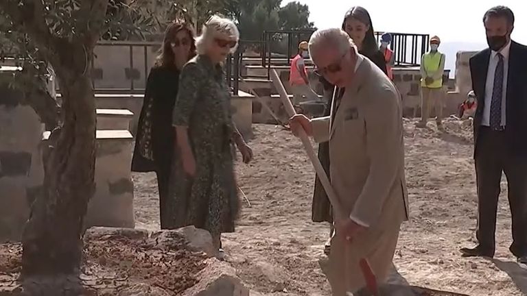 Prince Charles shovels earth under an olive tree in Jordan