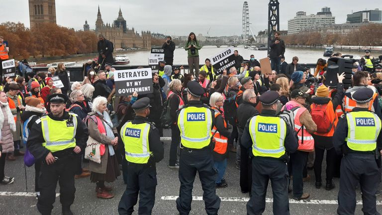 Climate demonstration on Lambeth Bridge