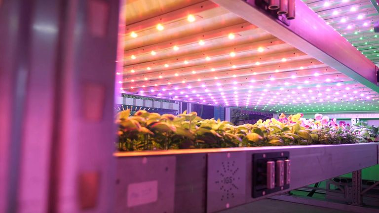 This vertical farm at COP26 can help reduce water usage and food miles.