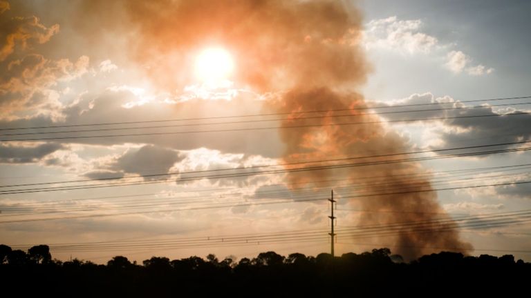 Bolsonaro&#39;s government has allowed and even encouraged deforestation at times